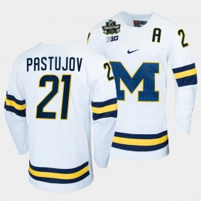 Michael Pastujov Michigan Wolverines 2022 Frozen Four White NCAA Hockey Jersey 21